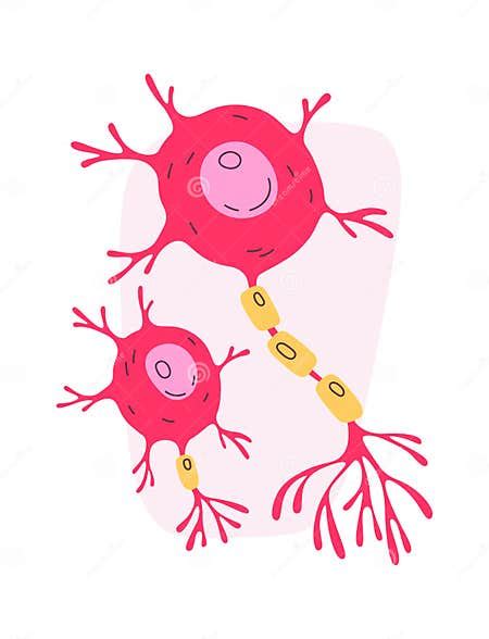 Nerv Human Cells stock vector. Illustration of nucleus - 280800331