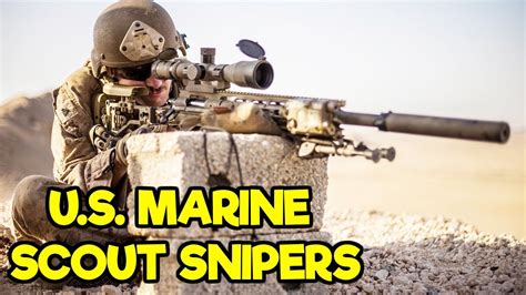 Us Marine Scout Snipers Youtube