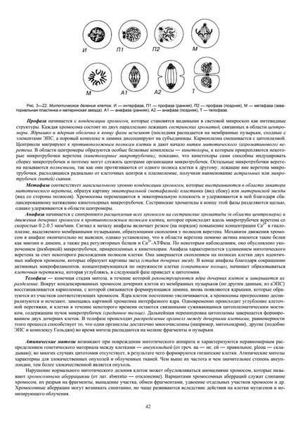 Быков - Цитология и общая гистология | Биология книги | ВКонтакте
