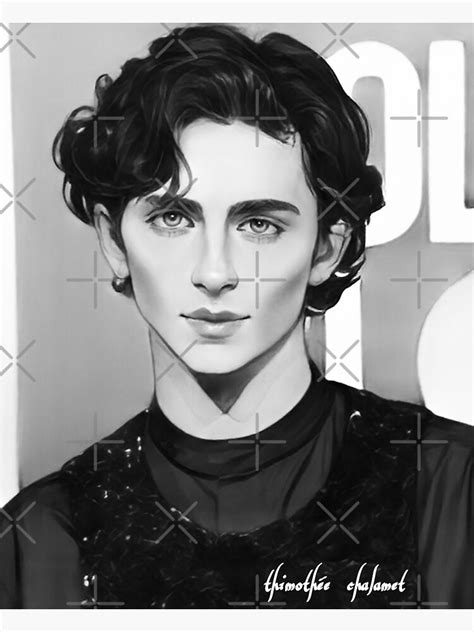 Timoth E Chalamet Sticker For Sale By Dbilbao Redbubble