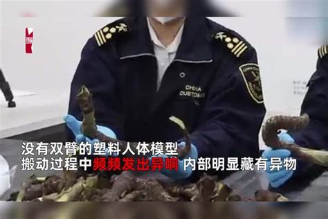 “人体模特”入境时频发异响，海关秒查获：藏6千克活体植物根茎