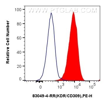 VEGFR2 KDR Antibody 83049 4 RR Proteintech