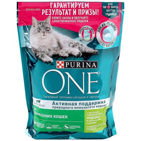 Корм Пурина Ван (Purina One) для кошек | состав, цена, отзывы