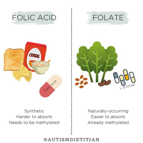 Vitamin B9 (Folate) | The Nourishing Autism Collective