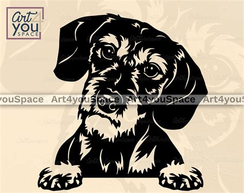 Wirehaired Dachshund Svg Dog Svg Cricut Project Doxie Etsy