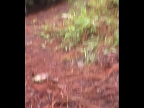 Putita Caliente Caminando Por El Bosque Con Plug En El Culo Xvideos