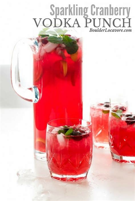 Sparkling Cranberry Vodka Punch Is A 4 Ingredient Punch Artofit