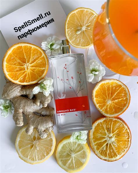 Женские духи Armand Basi In Red Eau De Toilette | Духи, Аромат, Ароматы