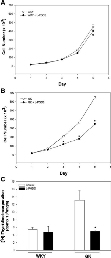 Effect Of L PGDS On Apoptosis VSMCs Isolated From WKY And GK Rats