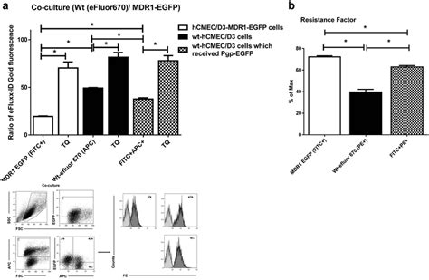 Intercellular Pgp Transfer Is Functional A To Characterize If