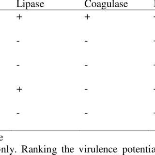 Virulent Properties of bacteria isolated from the brands of sachet water | Download Scientific ...