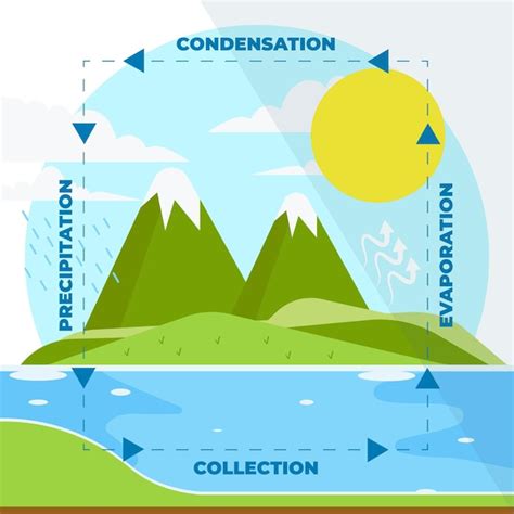 Illustration Du Cycle De L Eau Design Plat Vecteur Gratuite