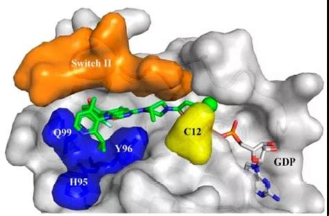 Amgen Sotorasib Kras G C