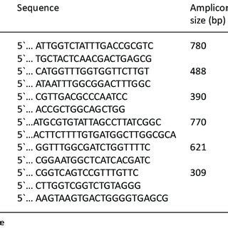 Oligonucleotide primers used in this study | Download Scientific Diagram