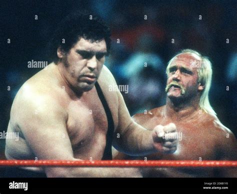 Hulk hogan and andre the giant hi-res stock photography and images - Alamy