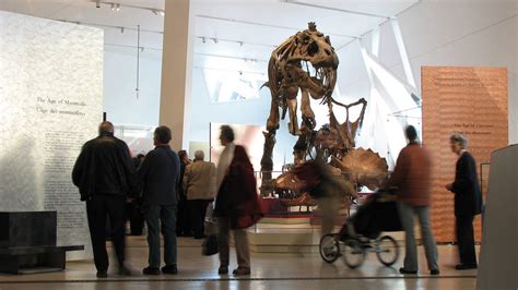 Royal Ontario Museum Museums In Bloor Yorkville Toronto