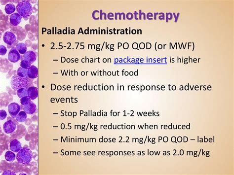 Practical Oncology Mast Cell Tumor - ppt download