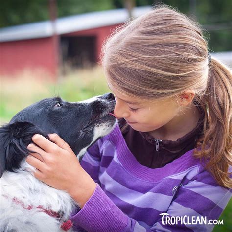 TropiClean Pet Products - Home | Facebook