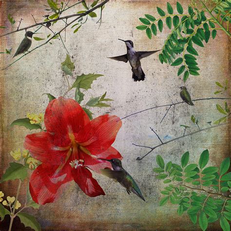 Hummingbird Garden Digital Art by Gary Davis - Fine Art America