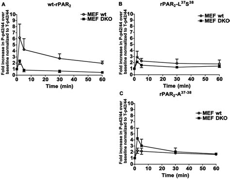 Trypsin Stimulates Map Kinase Signaling In Arrestin Null Dko Mef Cells