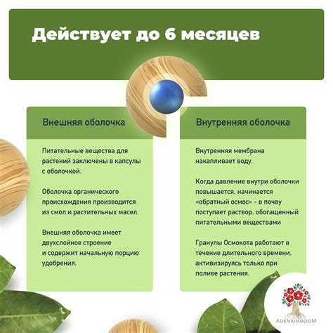 Удобрение Osmocote «5th Generation» S-curved Release 16-8-12 (5-6 м ...
