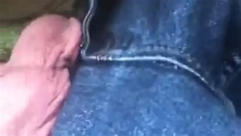 Free Lunch Break Blowjob Porn Videos Xhamster