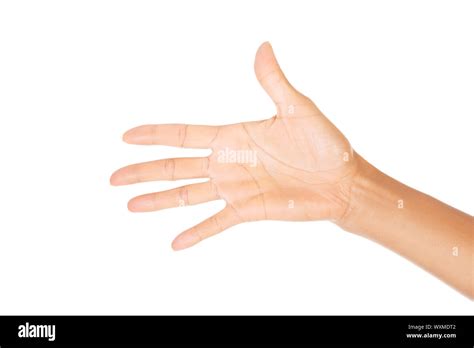 Woman Hand Palm Isolated On White Background Stock Photo Alamy