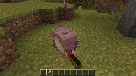 Minecraft Armadillo Scutes Guide How To Get Uses And More