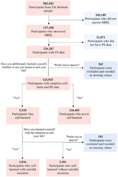 Participant Flowchart Mhq Mental Health Questionnaire Ps Polygenic Download Scientific