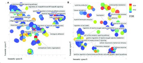 A The Scatterplot Shows The Cluster Representative Genes Of