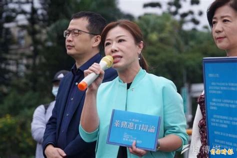 落跑再戰高嘉瑜 藍營北市議員李彥秀宣布參選港湖區立委 政治 自由時報電子報