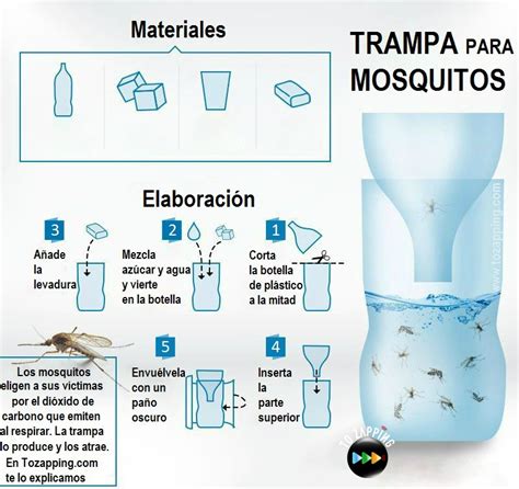 Cómo hacer una trampa para mosquitos Tozapping