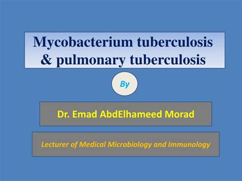 PPT - Mycobacterium tuberculosis & pulmonary tuberculosis PowerPoint ... 