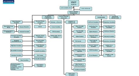 Organizasyon Şeması Özel Büyükşehir Hastanesi