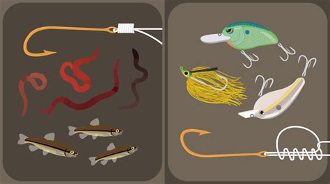 Bait Fishing Versus Lure Fishing