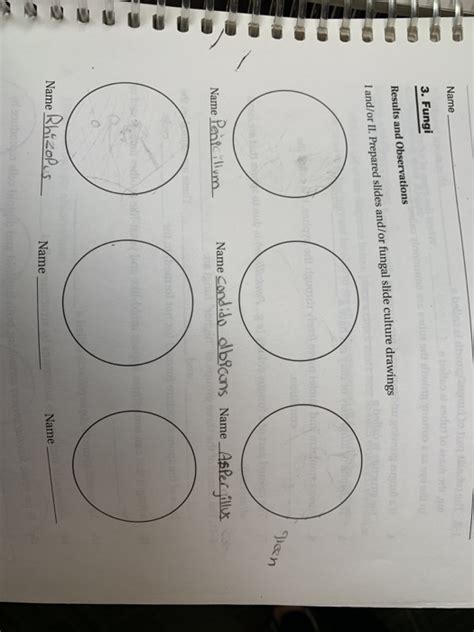 Solved 266 FuNaI Questions .After much branch- 1-3. The | Chegg.com