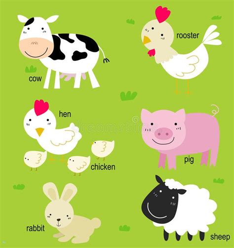 Farm Animals Names in English