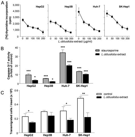 Proliferation, apoptosis and invasion of HCC cell lines treated with ...