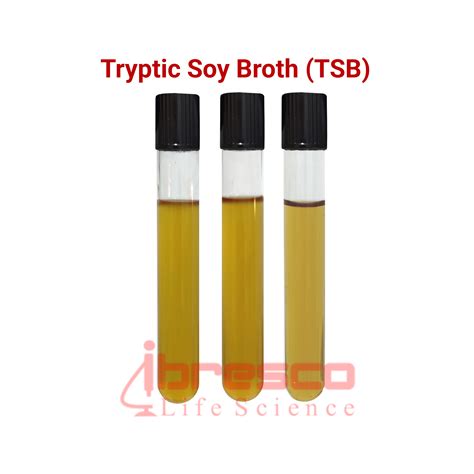 Tryptic Soy Broth Tsb تریپتیک سوی براث، تی اس بی ایبرسکو