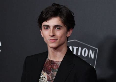 Timothee Chalamet - Biography, Height & Life Story | Super Stars Bio