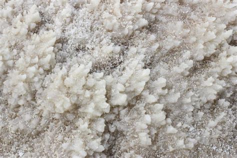 Dead Sea Salt Crystals stock image. Image of salt, closeup - 154137007