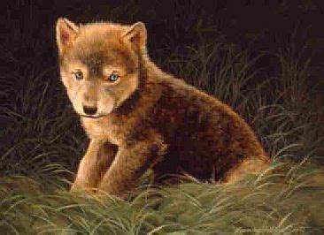 Wolf Pup Painting at PaintingValley.com | Explore collection of Wolf ...