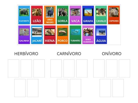 Porco é Carnivoro Herbivoro E Onivoro