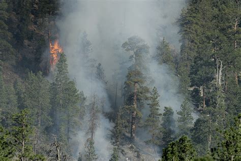 Mount Charleston Fire Forces Evacuations Burns 10 Acres Of Forest Land