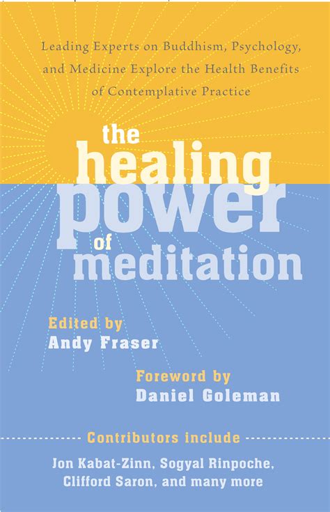 The Healing Power of Meditation by Andrew Fraser - Penguin Books New