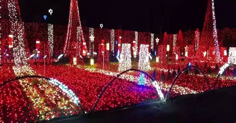 Christmas Lights in Fort Lauderdale 2024-2025 - Rove.me