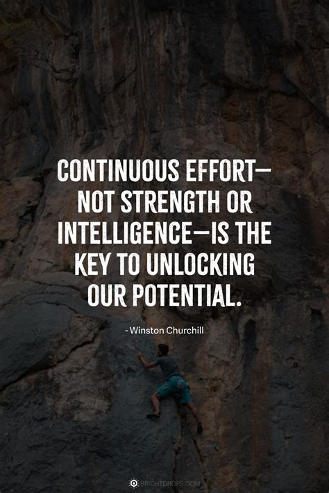 91 Perseverance Quotes on Why Giving It Your All is the Only Way