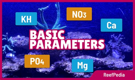 The basic water parameters - Reef Pedia