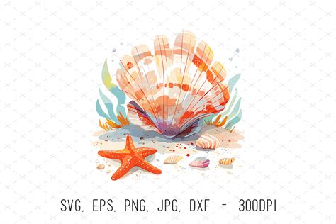 Watercolor Seashell Vector Clipart Svg Grafik Von Artcursor Creative