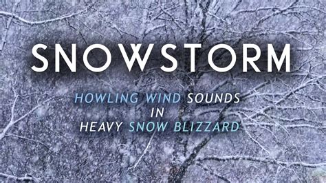 Snowstorm Blizzard Howling Wind Sounds Hours Of K Strong